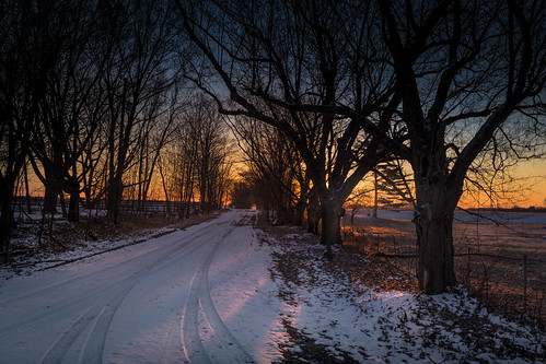 canoneos5dmarkiv sunrise amanecer clare michigan corner dirtroad gravelroad country winter march midmichigan snow nieve cold sun treelined