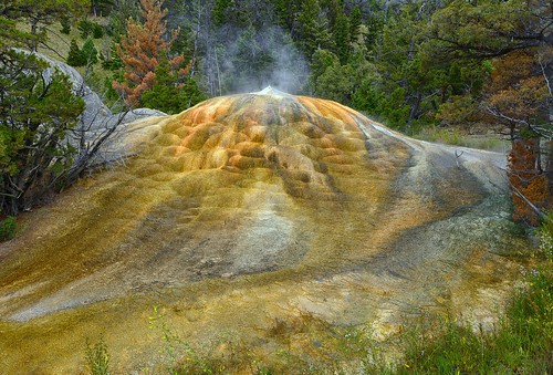limestone yellowstonenationalpark geothermal mammothhotsprings thermophiles upperterrace travertineformations wyom tangerinespring