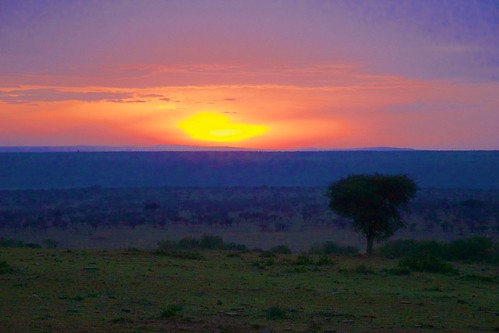 africa sunrise dawn kenya safari