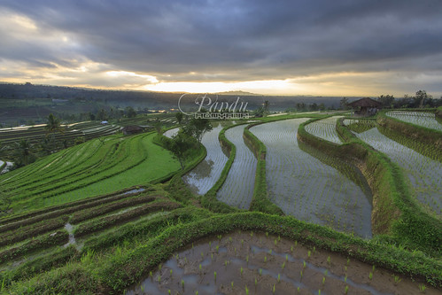 bali cloud black field indonesia landscape photography tour rice card guide curve jatiluwih baliphotography balitravelphotography baliphotographytour baliphotographyguide
