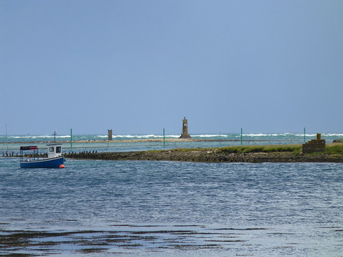 ireland sea water statue statues outofplace killala