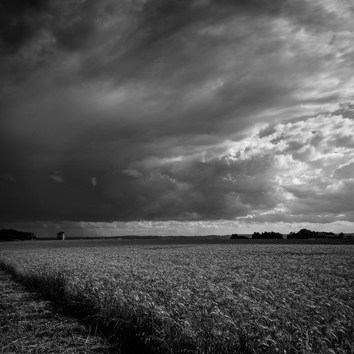 cloud storm landscape corn delphineroux delphinerouxphotographie