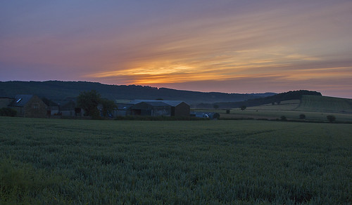mist sunrise landscape derbyshire barlow goldenhour elmtreefarm 449am minoltaamount cobnarwood