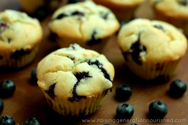 Blueberry Muffins :: Gluten Free, Nut Free, Dairy/Egg Free Options