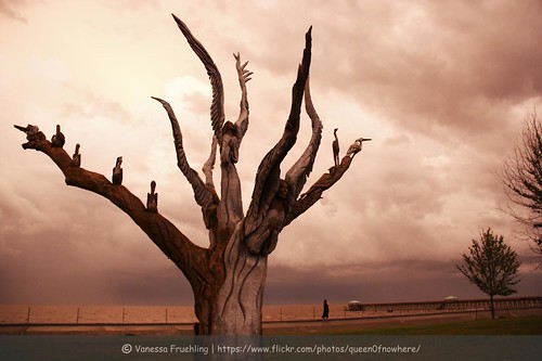 sky sculpture usa cloud storm tree beach strand unitedstates united himmel wolke skulptur angels states engel baum sturm