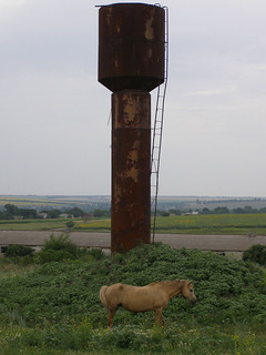Horse and Water Tower