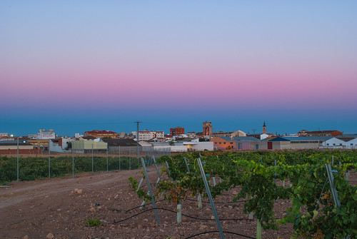 sunset atardecer la camino toledo uva orden mancha viñas quintanar