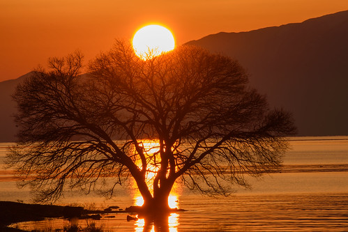 japan 琵琶湖 湖 lake 夕景 sunset 滋賀県 米原市