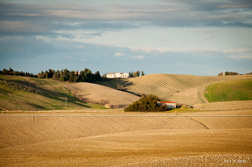 italy nature landscape view image country hill pisa tuscany fields naturephotography 2014 nikond90 santaluce