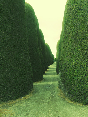 chile verde green landscape happy viajes 2014 puntaarenas cementeriomunicipal puntaarenaschile 2013 cementeriopuntaarenas