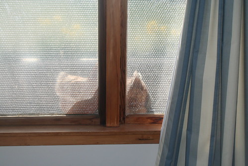 Chickens - 2014-08-29 - 01 - Bedroom Window
