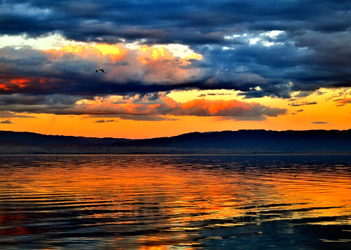 california sunset sea orange usa lake mountains bird water clouds flying seagull believe salton saltonseabeach