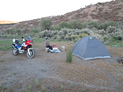 Camping wild in Nevada