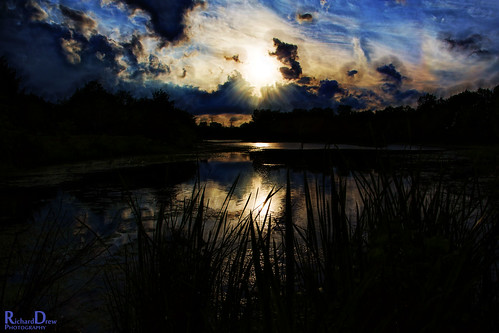 blue trees sunset sun reflection wet water clouds reeds dark illinois dusk il paloshills lakekathering