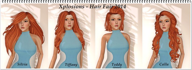 Hair Fair 2014 - Xplosions