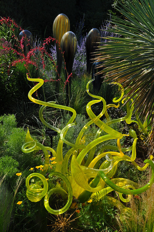 Chihuly (4)