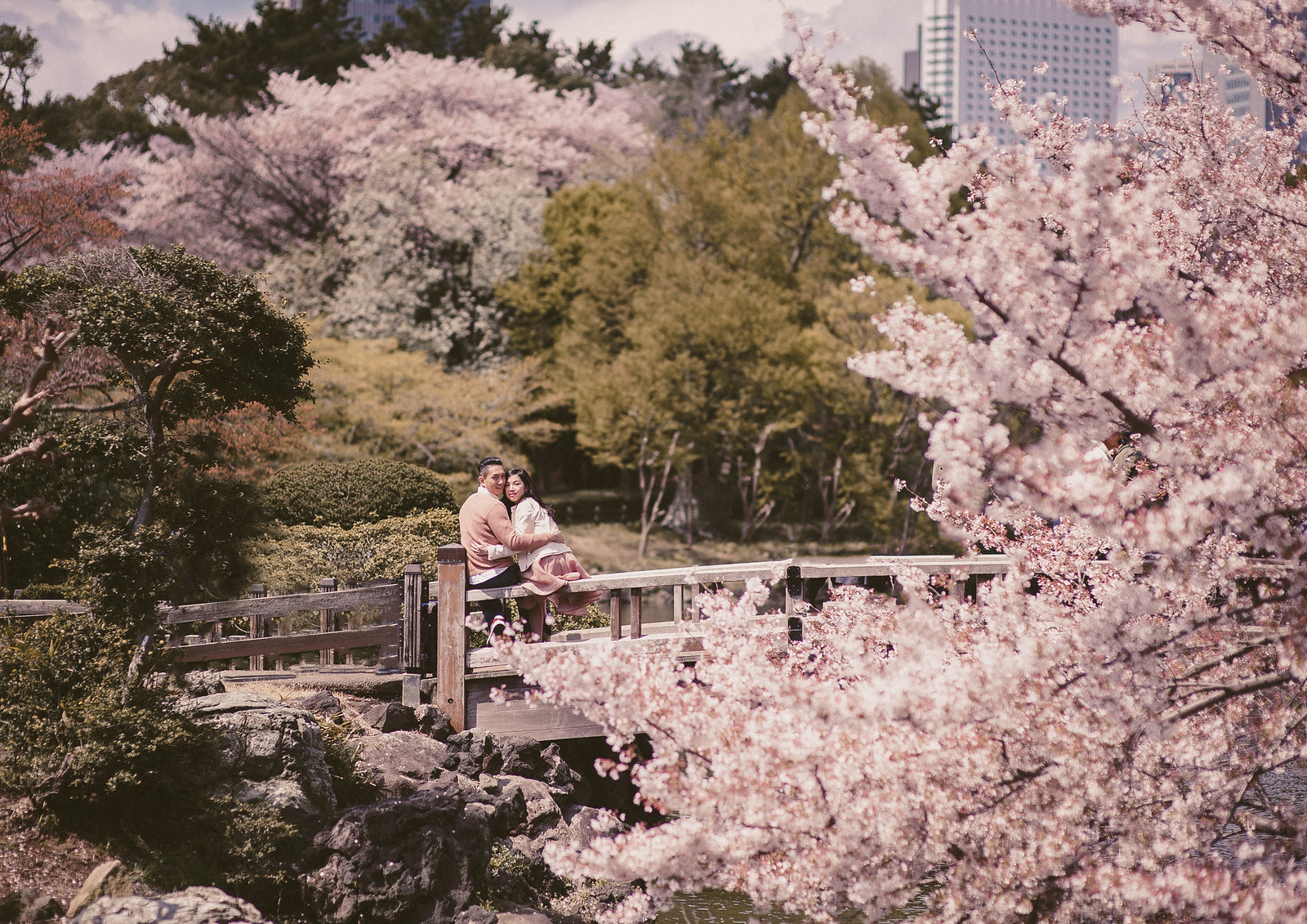 Jakarta, Multifolds, overseas pre wedding, Tokyo, Ines and Irjen, Sakura, cherry blossom, Japan, lovescapade
