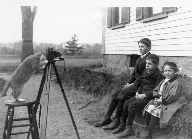 Circa 1909: Cat Photographer