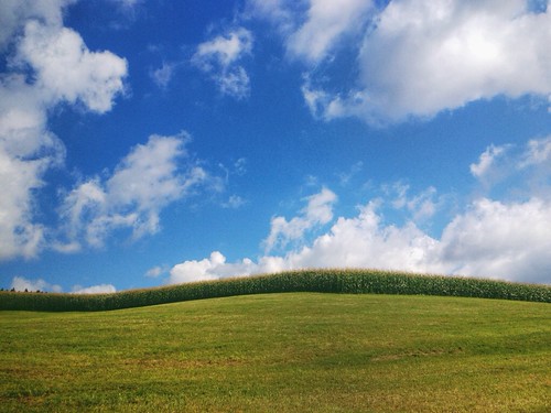 summer sky field clouds corn agriculture bliss windowsxp lansdscape iphone