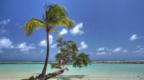 sony plage hdr guadeloupe caraibes tonemapping sonyalpha