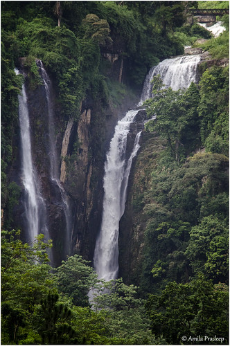 nature waterfall srilanka ramboda rambodafalls