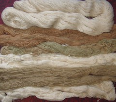cotton fabric 017