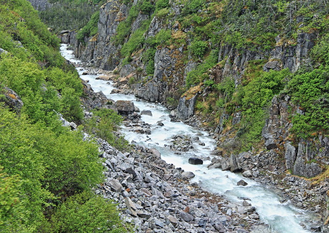 WhitePass Scenic Railway 13-20140618