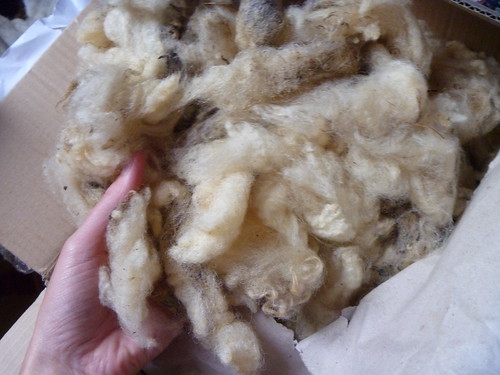 Wool received from a kind friend