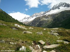 Escursione in Val di Fumo (10 luglio 2014)