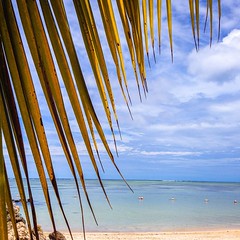 Life's a Beach...          #lifeisabeach #islandlife #islandbeauty #island #goodvibes #garyjordan #caribbeanbeach #caribbean #caribbeanbeauty #caribbeanphotographer #canon #horizon #coconuttree #local #trinidadandtobago