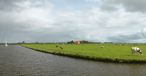 panorama farmhouse cows meadow farmland explore friesland najaar2014 wiemerts