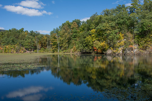 autumn mountain lake reflection leaves pond woods pennsylvania millmontpennsylvania