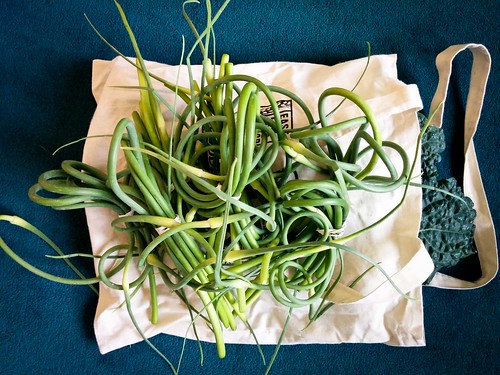 2 pounds of Garlic Scapes