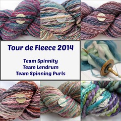 Tour de Fleece 2014