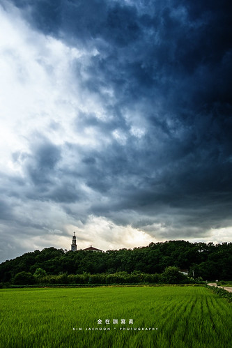 sky cloud tree church nature field weather vertical landscape outdoors photography day tranquility nopeople korea growth agriculture southkorea ricepaddy stormcloud incheon distant placeofworship colorimage greencolor builtstructure photographersontumblr originalphotographers