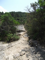 Maryonnes trail