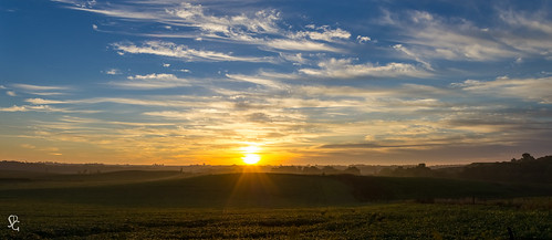 panorama sunrise pano soybeans jacksoncounty easterniowa