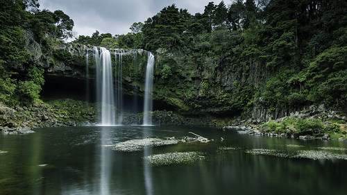 kerikeri northland newzealand nz rainbowfalls waipapa landscape waterfall canoneos6d
