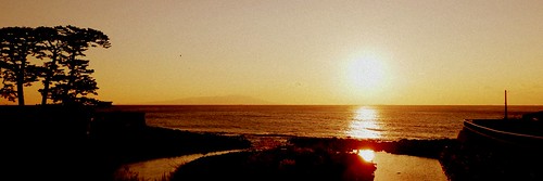 sea japan sunrise coast 日本 shizuoka izu 静岡 伊豆 東伊豆 静岡県 colorprocess 東伊豆町 higashiizu higashiizutown twittercover izuphoto shirada shiradacoast 伊豆の写真