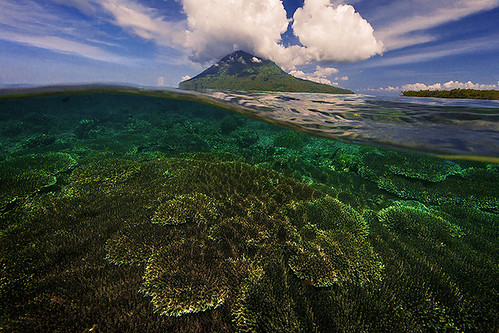 beach coral indonesia island underwater under over diving snorkeling level split sulawesi manado bunaken