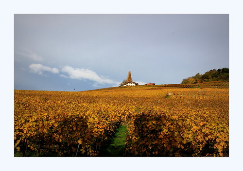 sky house leaves grey schweiz switzerland vines suisse explore vineyards svizzera domain vaud lavaux romandie 298 1j1t