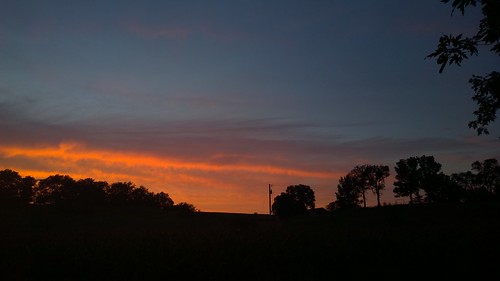 sunset tree silhouette katy katytrail