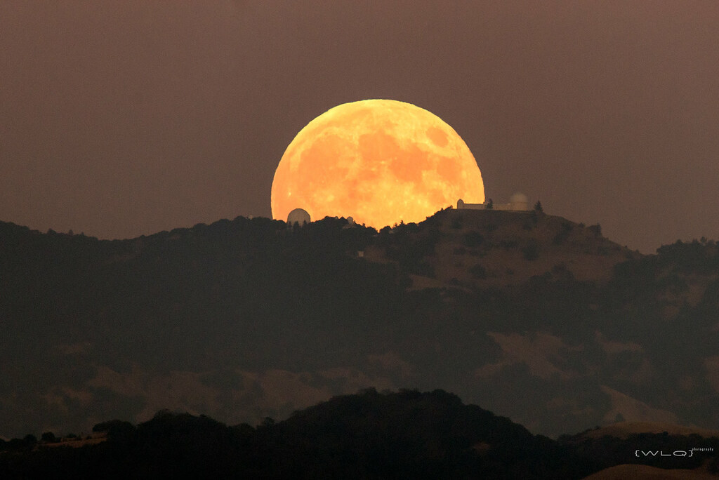 Harvest Moon Part 2 by Wilson Lam on Flickr
