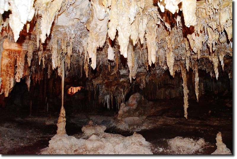 Stalagmites in Lehman Caves 10