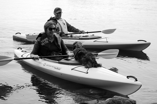 blackandwhite bw dog pet animal boats boat kayak bonsai