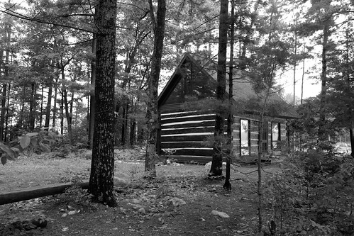 blackandwhite bw cabin woods cottage