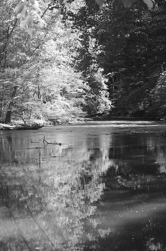 ohio nature water river landscape blackwhite nikon stream amateur glap d5100