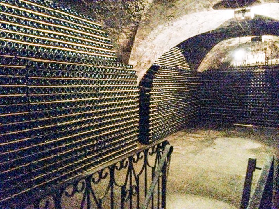 Touring the cellars of Cavas Recarado in Sant Sadorni d' Anoio outside Barcelona, Spain