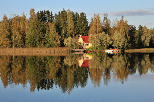 trees lake water reflections suomi finland bay scenery scene tampere goldenhour järvi ylöjärvi vahantalahti