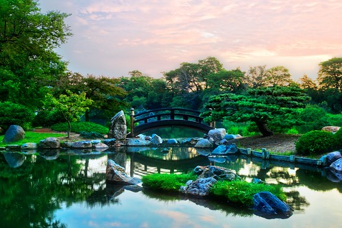 park bridge chicago reflection water japan sunrise garden japanese dawn illinois pond day cloudy lagoon jackson il osaka hydepark orient firstlight moonbridge jacksonpark eastlagoon osakagarden amati woodedisland alanamati